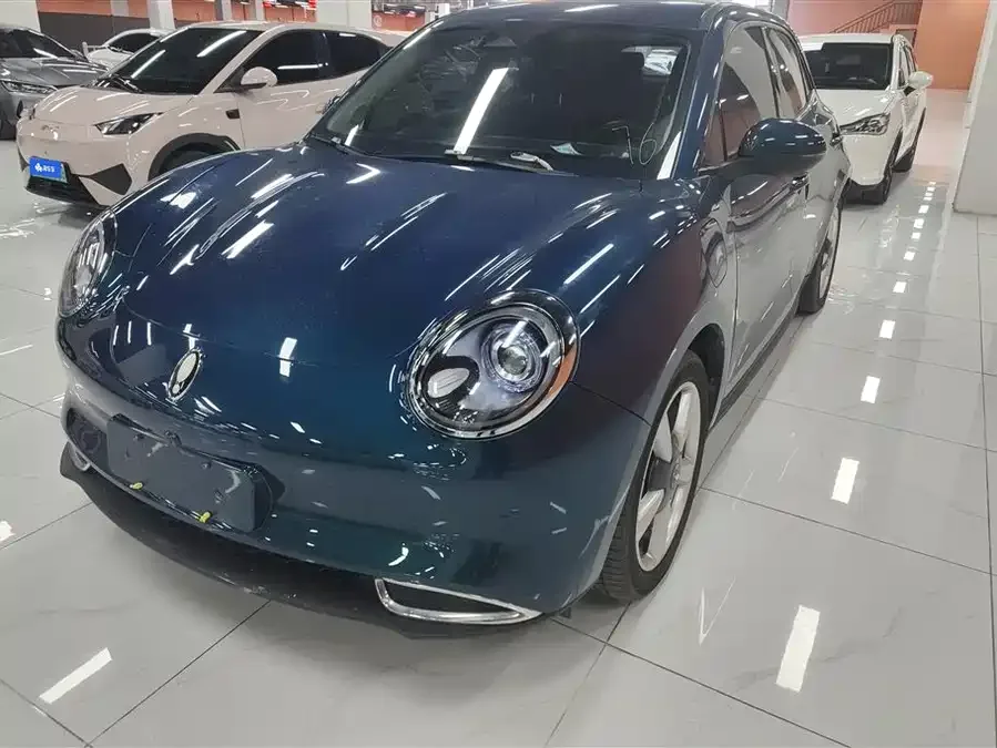ORA good cat Euler Good Cat 2023 401km standard range luxury lithium iron phosphate 2023 — фото 1, купить с доставкой в Москву