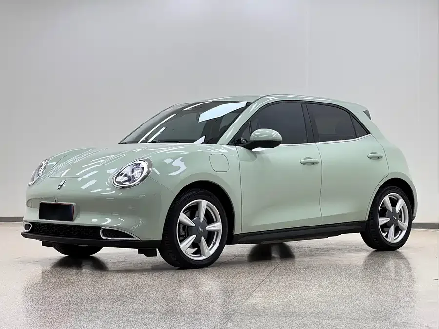 ORA good cat Euler Good Cat 2023 401km standard range luxury lithium iron phosphate 2023 — фото 1, купить с доставкой в Москву