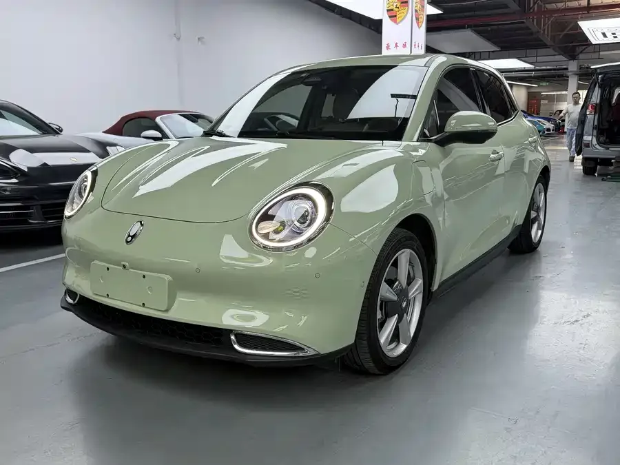 ORA good cat Euler Good Cat 2022 Morandi Edition 400km standard range premium ternary lithium 2022 — фото 1, купить с доставкой в Москву