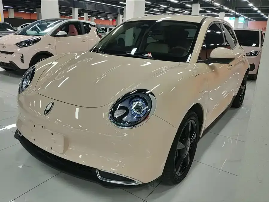 ORA good cat ORA Good Cat 2024 501km Luxury Model 2024 — фото 1, купить с доставкой в Москву