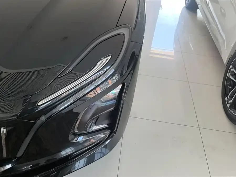 Hongqi E-QM5 Hongqi E-QM5 2024 560km PLUS 2024 — миниатюра 5