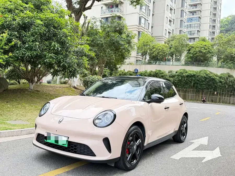 ORA good cat ORA Good Cat 2025 430km Premium Edition 2025 — фото 1, купить с доставкой в Москву