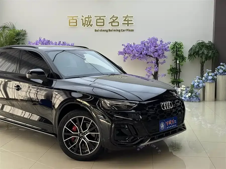 Audi Q5L 2025 45 TFSI Luxury Dynamic Edition 2025 — миниатюра 2