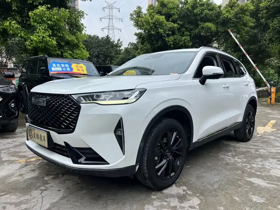 Haval H6 Haval H6 2021 third generation 2.0T automatic four-wheel drive Max 2022 — фото 1, купить с доставкой в Москву