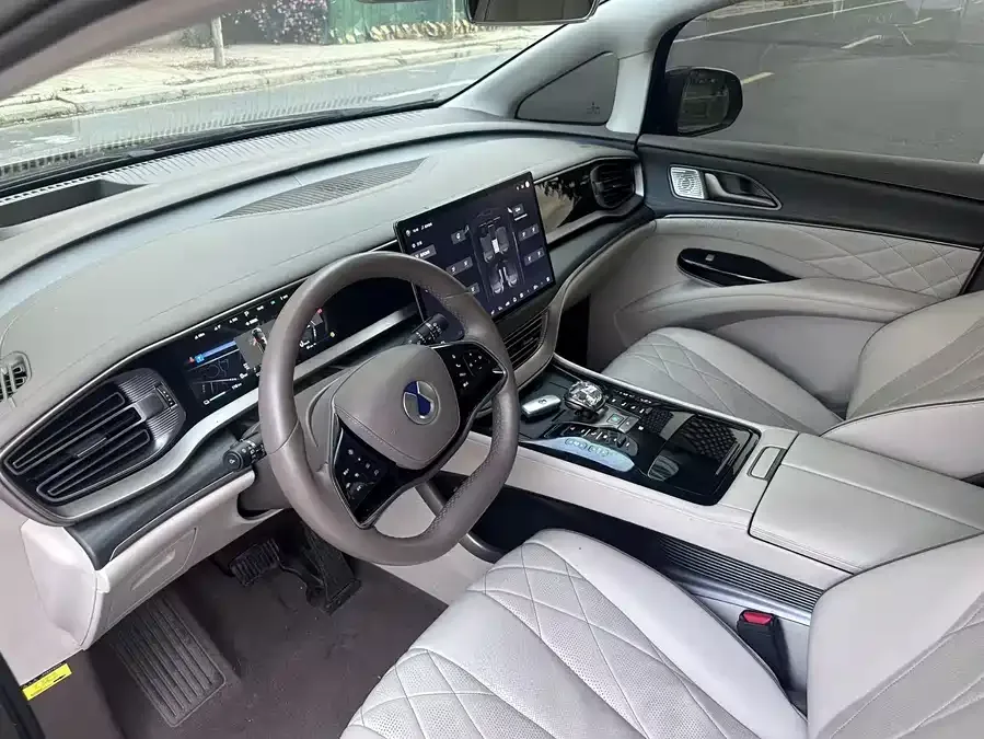 BYD D9 DENZA D9 2022 DM-i 970 4WD Premium Edition 2023 — миниатюра 4