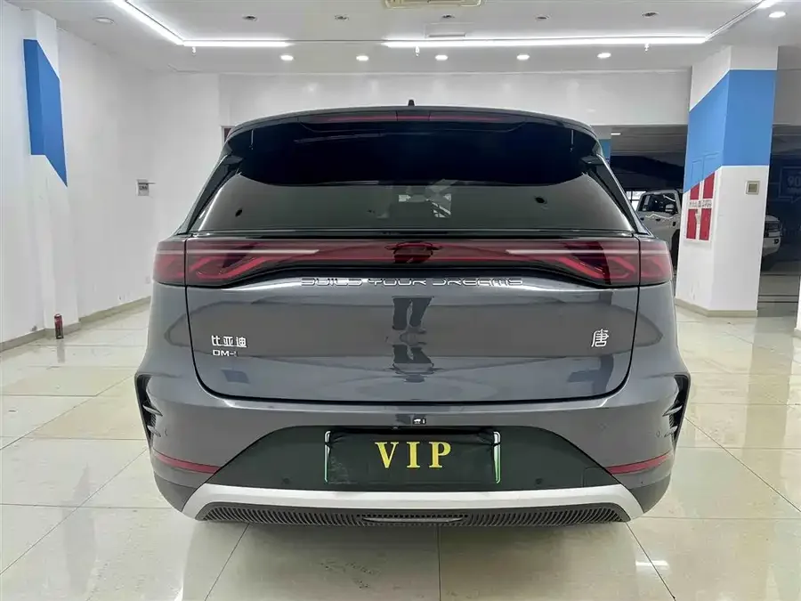 BYD Tang New Energy Tang New Energy 2025 DM-i 115KM Premium Edition 2025 — миниатюра 2
