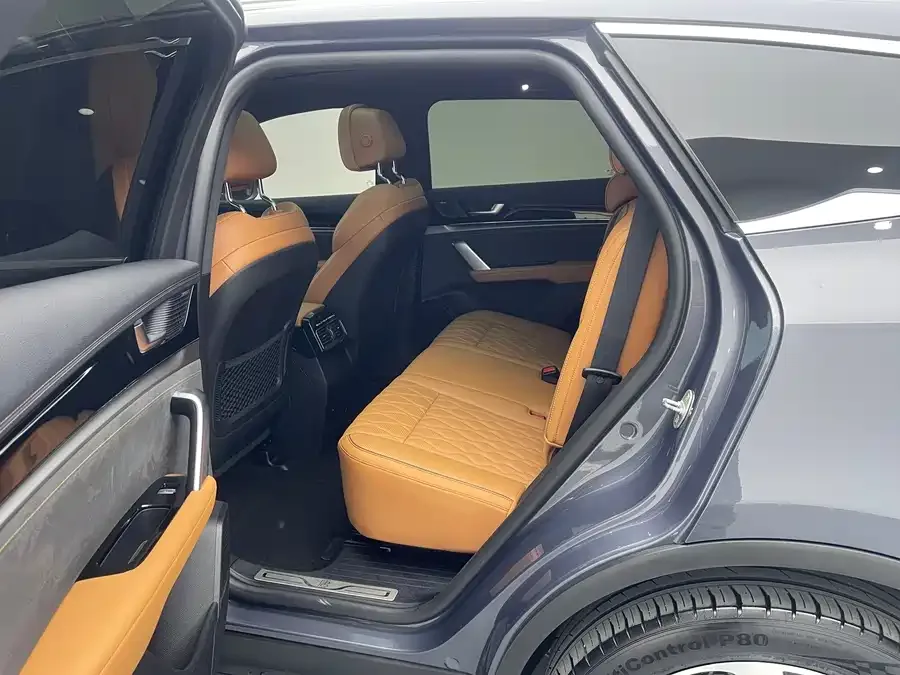 BYD Tang New Energy Tang New Energy 2023 DM-i Champion Edition 112KM Premium Edition 2023 — миниатюра 5