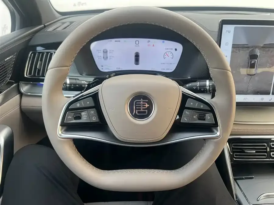 BYD Tang New Energy Tang New Energy 2025 Intelligent Driving Edition DM-i 115KM Flagship 2025 — миниатюра 4
