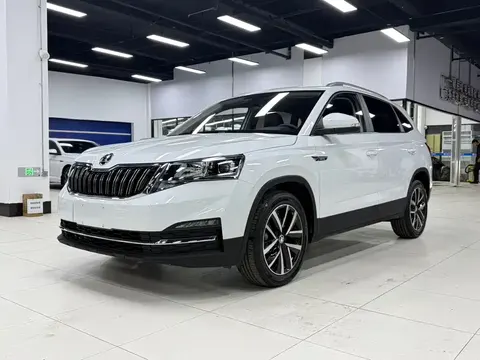 Skoda Kamiq 2023 buy in Moscow