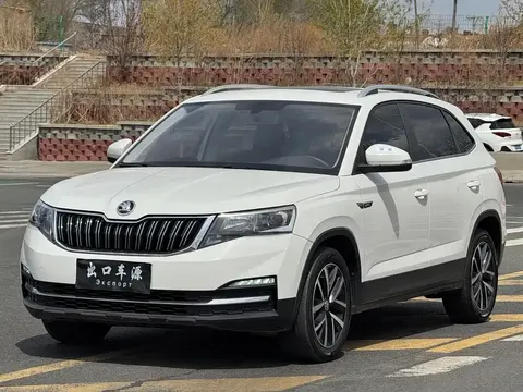 Skoda Kamiq 2023 buy in Moscow