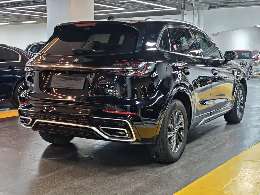 Hongqi HS5 Hongqi HS5 2023 2.0T Flagship Pro Edition 2024 — миниатюра 5