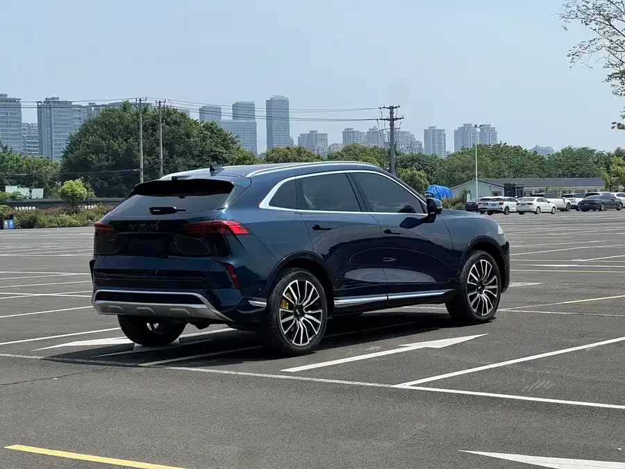 WEY Mocha Wei Mocha 2021 2.0T 4WD Special Edition 2022 — миниатюра 4