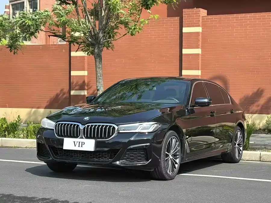 BMW 5 Series BMW 5 Series 2023 530Li Leading M Sport Package 2023 — фото 1, купить с доставкой в Москву