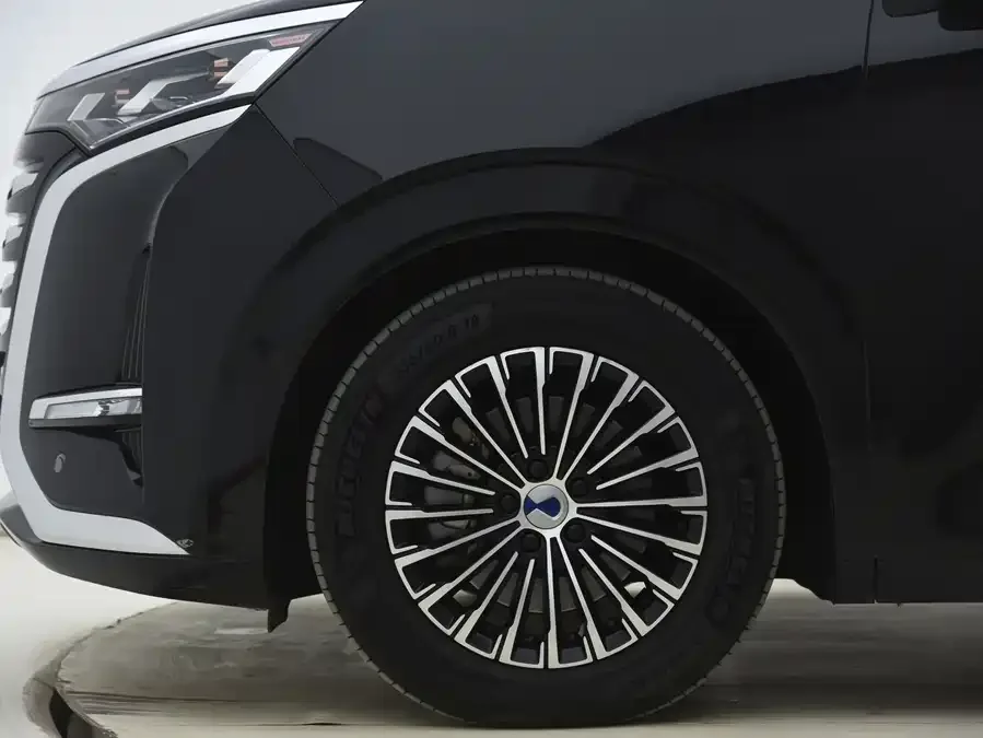 BYD D9 DENZA D9 2024 DM-i 980 4WD Premium Edition 2025 — миниатюра 3