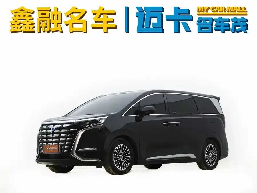 BYD D9 2025