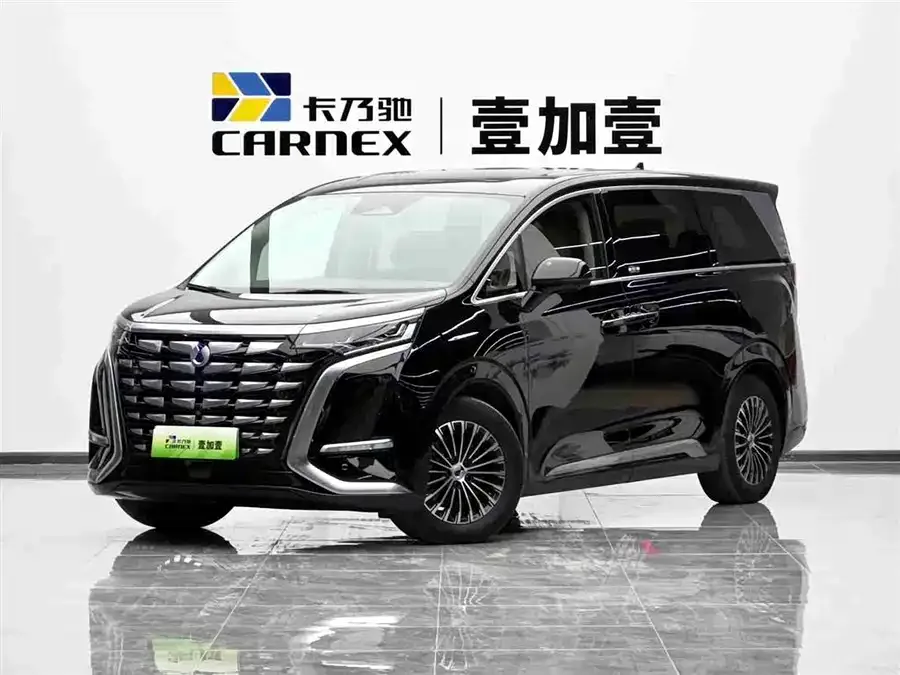 BYD D9 2024