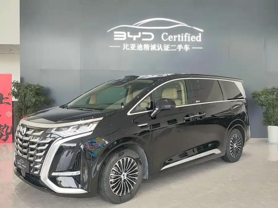 BYD D9 2024