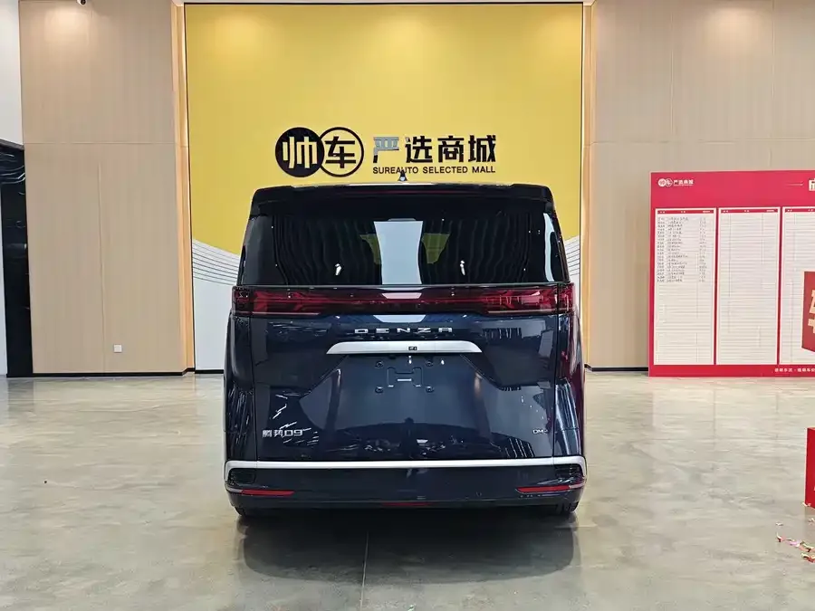 BYD D9 DENZA D9 2022 DM-i 1040 Premium Edition 2023 — миниатюра 2