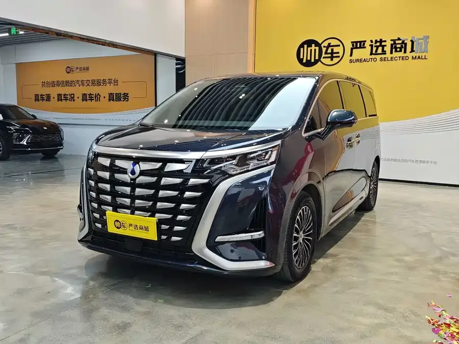 BYD D9 2023