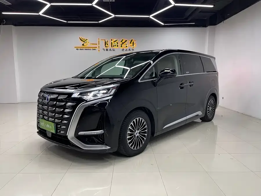 BYD D9 2024