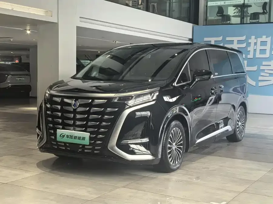 BYD D9 2024