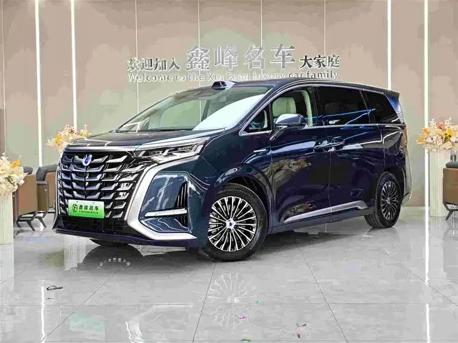 BYD D9 2025