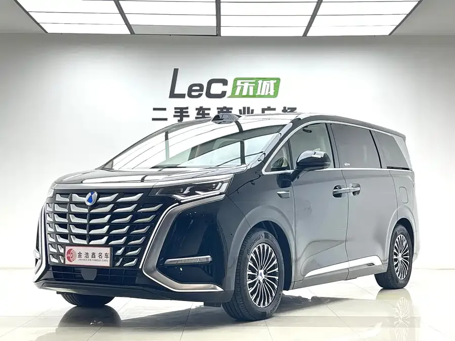 BYD D9 2025
