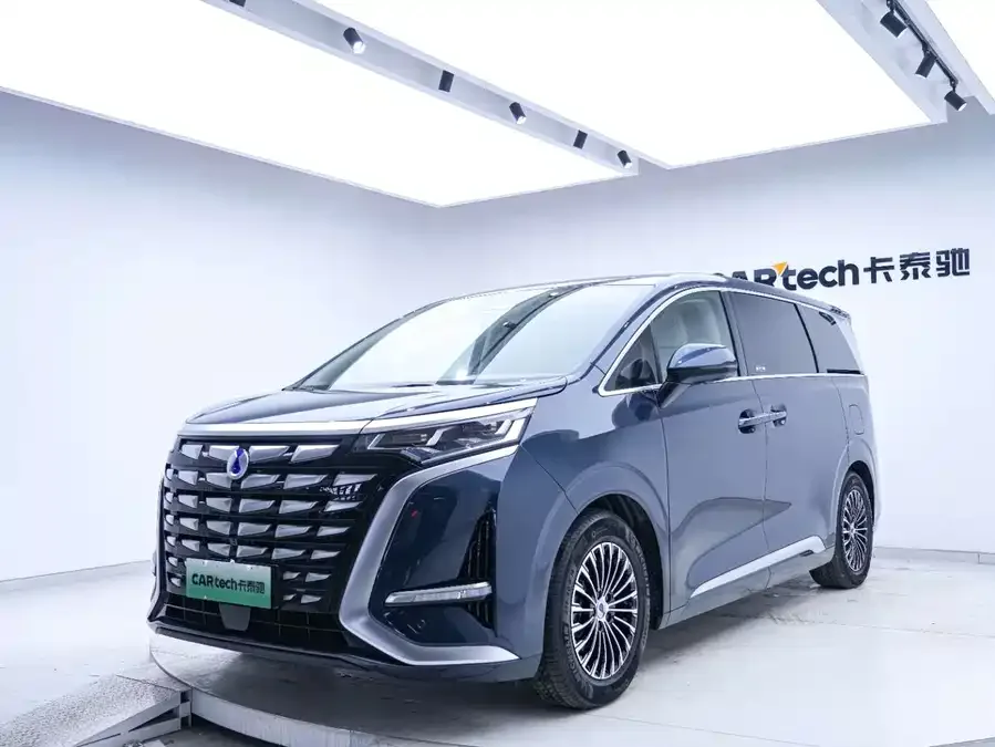 BYD D9 DENZA D9 2022 DM-i 970 4WD Premium Edition 2022 — миниатюра 3