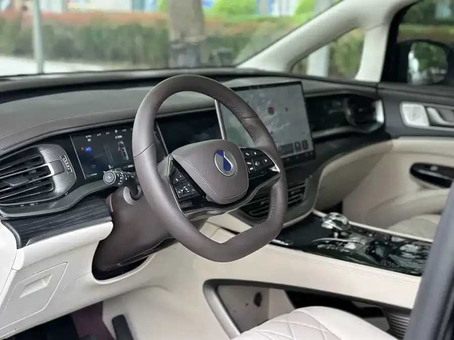 BYD D9 DENZA D9 2024 DM-i 980 4WD Premium Edition 2025 — миниатюра 3