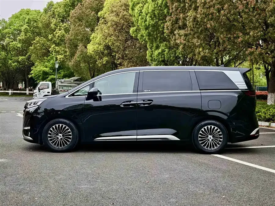 BYD D9 DENZA D9 2024 DM-i 980 4WD Flagship Model 2024 — миниатюра 3