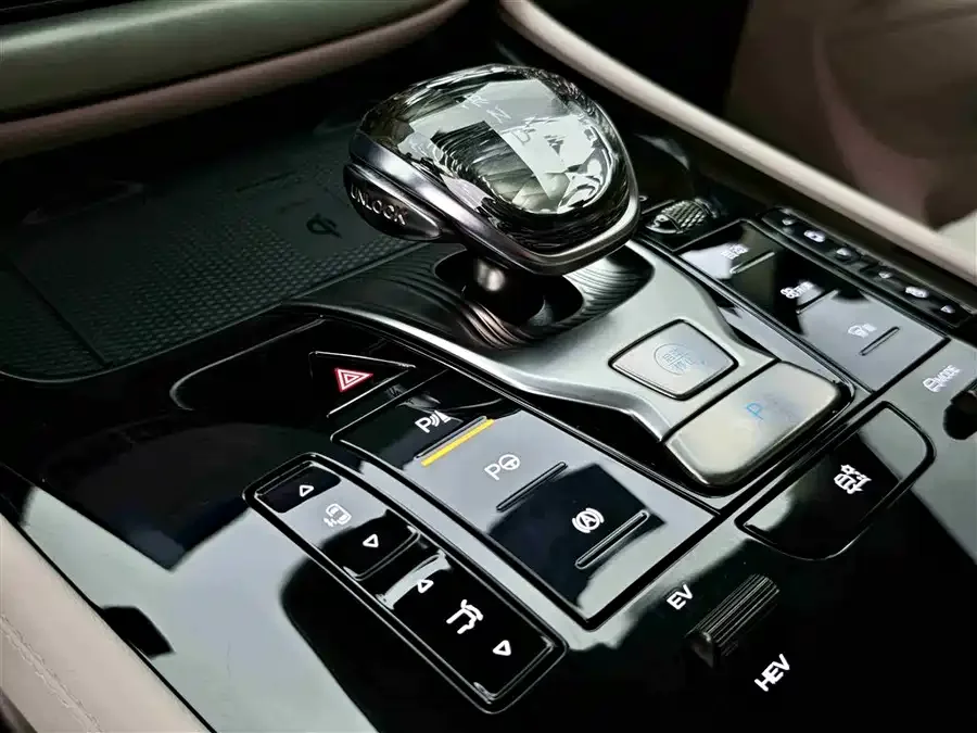 BYD D9 DENZA D9 2024 DM-i 980 4WD Flagship Model 2024 — миниатюра 5