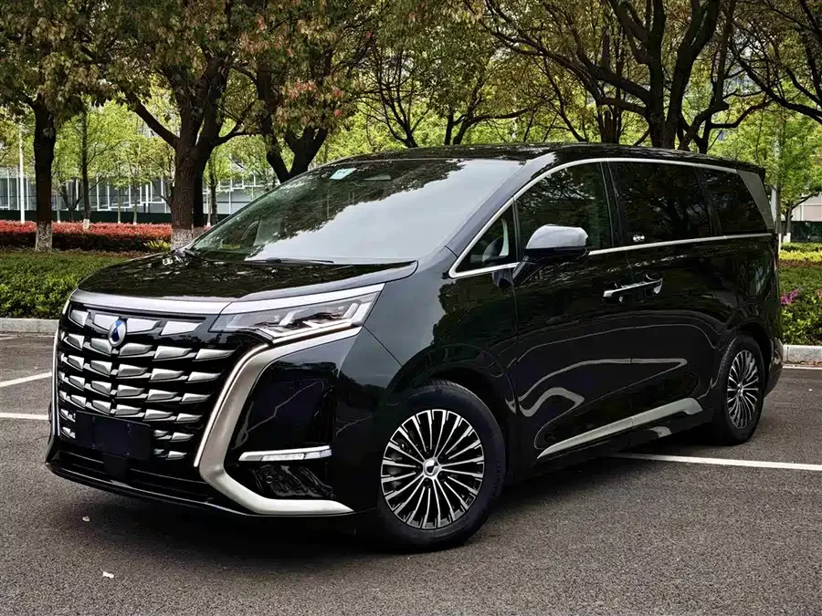 BYD D9 2024