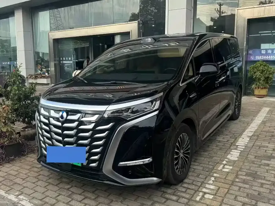 BYD D9 2025
