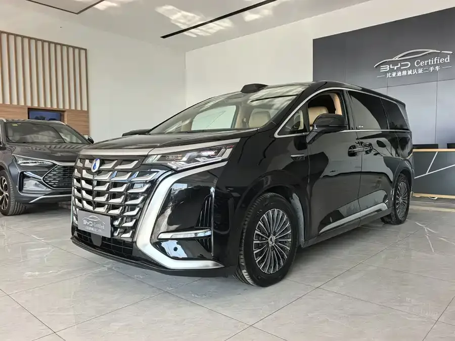 BYD D9 2025