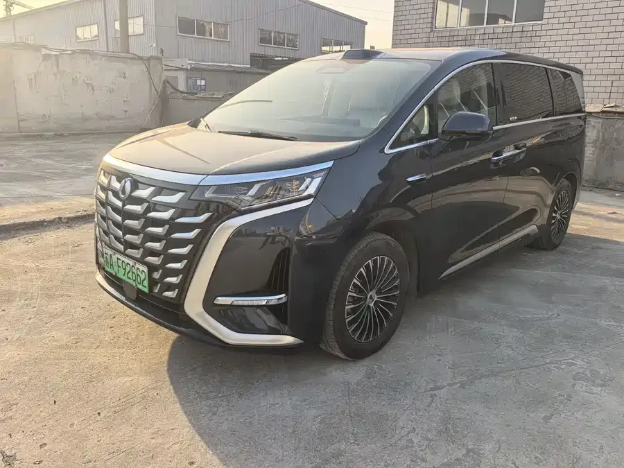 BYD D9 2025