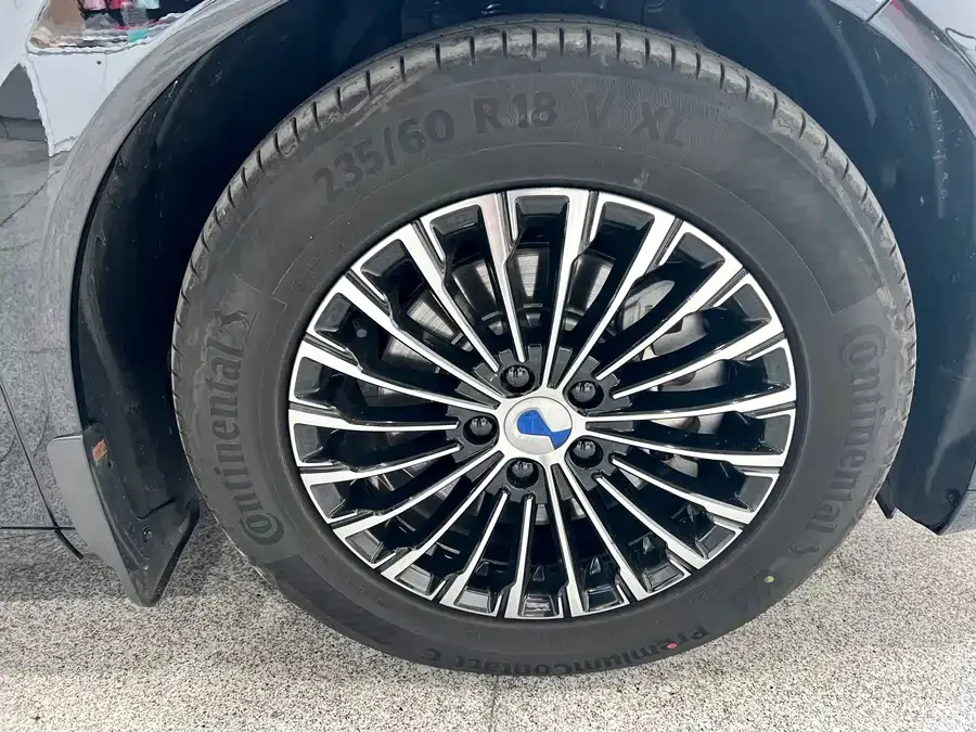 BYD D9 DENZA D9 2024 DM-i 970 Luxury Edition 2025 — миниатюра 5