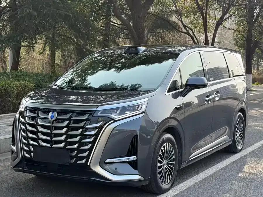 BYD D9 2025