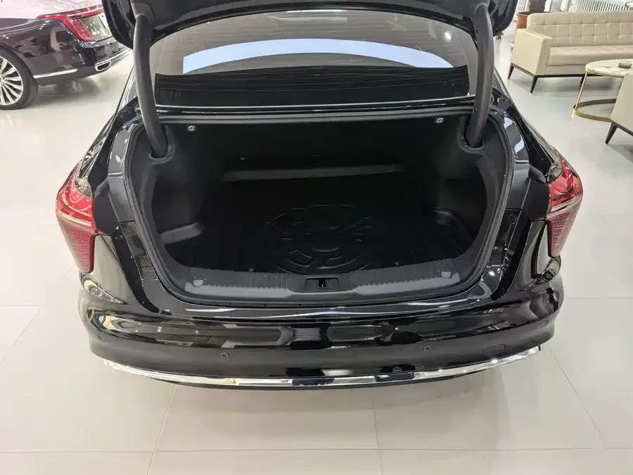 Hongqi H5 Hongqi H5 2025 2.0T Automatic Flagship Edition 2024 — миниатюра 5
