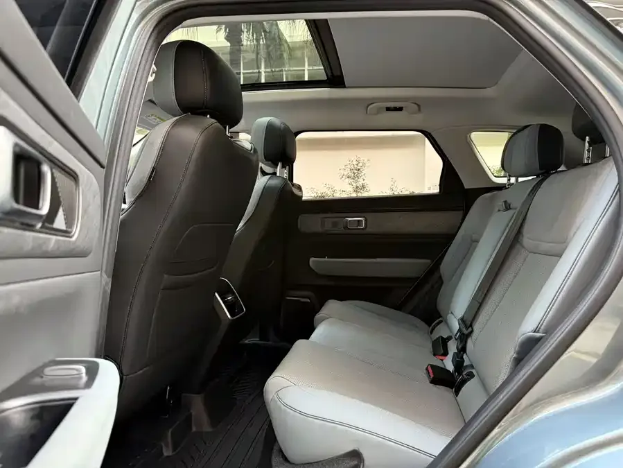 Chery Fengyun T6 Fengyun T6 2024 MAX version 2024 — миниатюра 5