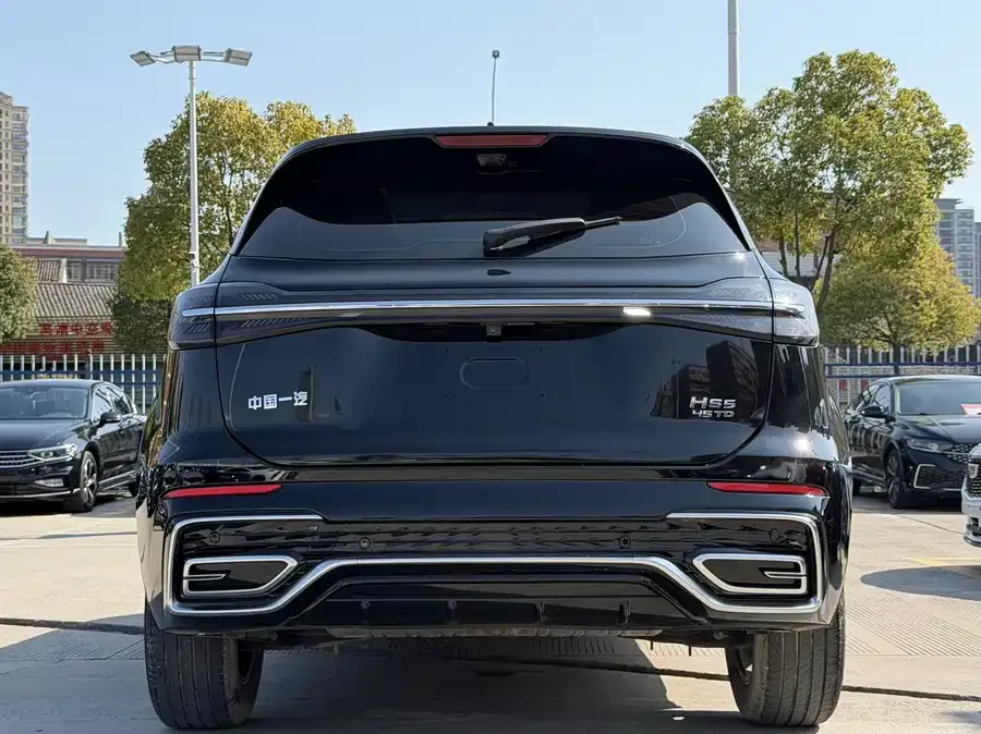 Hongqi HS5 Hongqi HS5 2023 2.0T Flagship Pro Edition 2024 — миниатюра 2