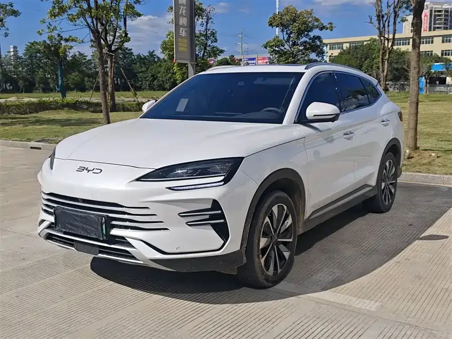 BYD Song PLUS New Energy 2025