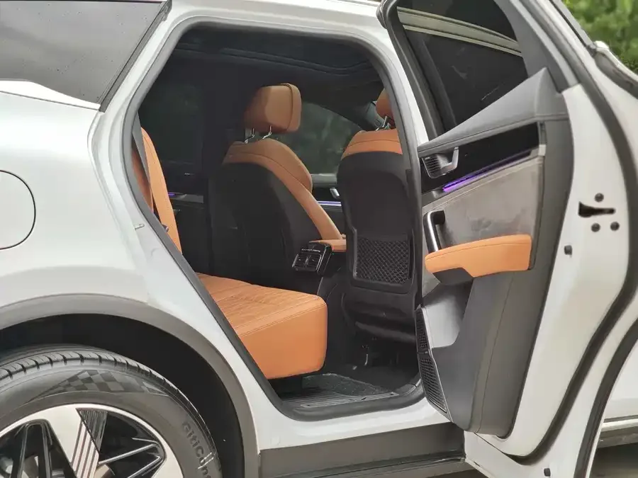 BYD Tang New Energy Tang New Energy 2023 DM-i Champion Edition 112KM Premium Edition 2024 — миниатюра 4