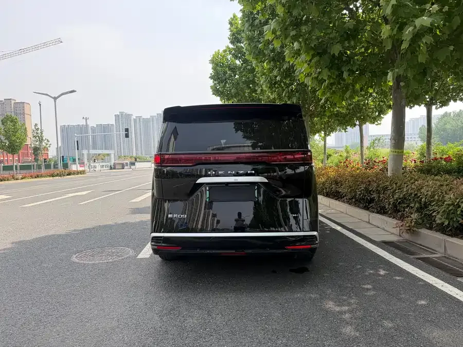 BYD D9 DENZA D9 2024 DM-i 970 Luxury Edition 2025 — миниатюра 3