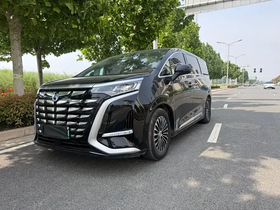 BYD D9 2025