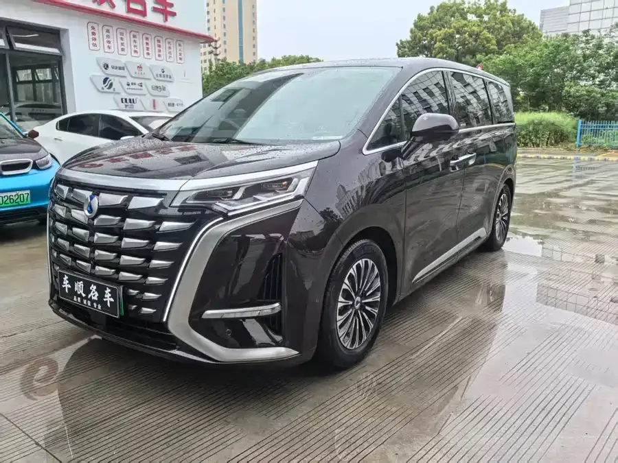 BYD D9 2024