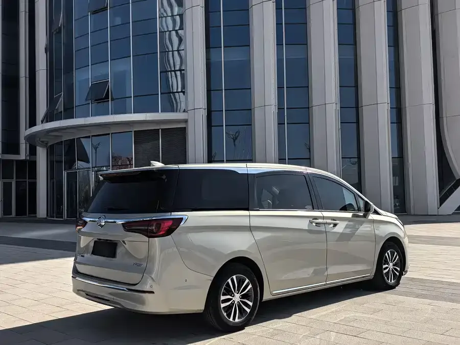 Buick GL8 2023 ES Lu Zun Premium Edition 2023 — миниатюра 4