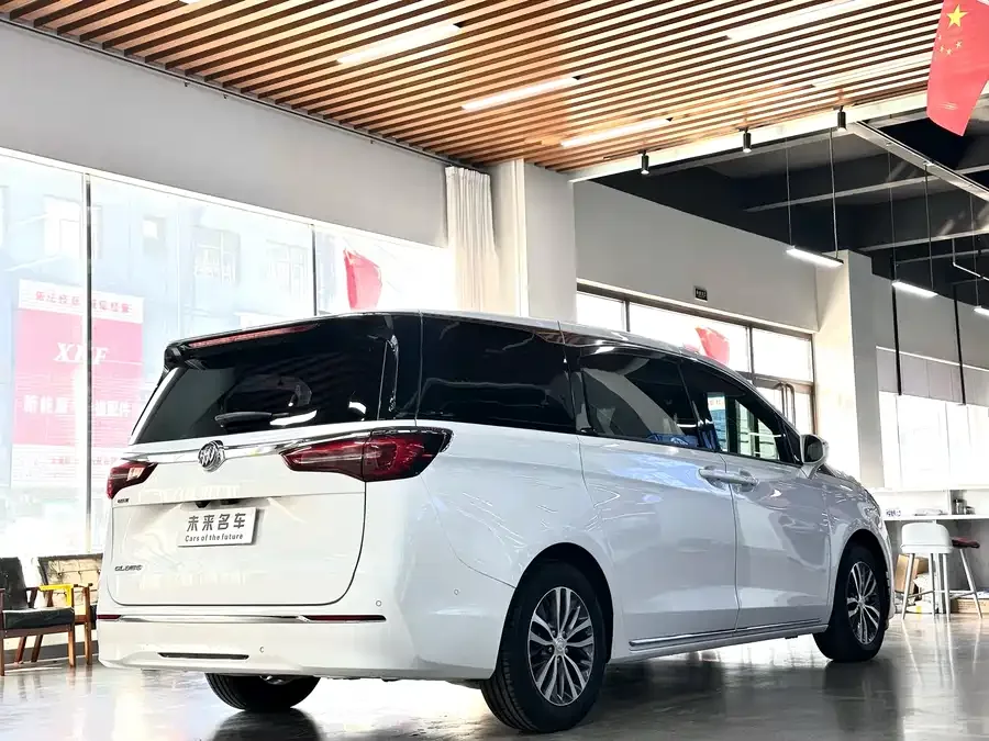 Buick GL8 2023 ES Lu Zun Premium Edition 2022 — миниатюра 5
