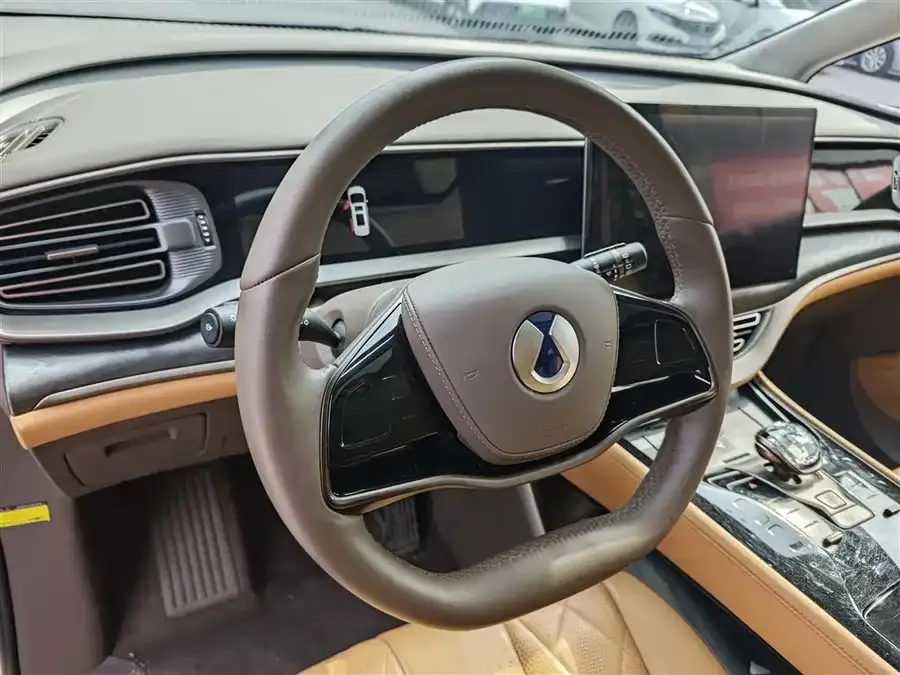 BYD D9 DENZA D9 2022 DM-i 1040 Premium Edition 2023 — миниатюра 4