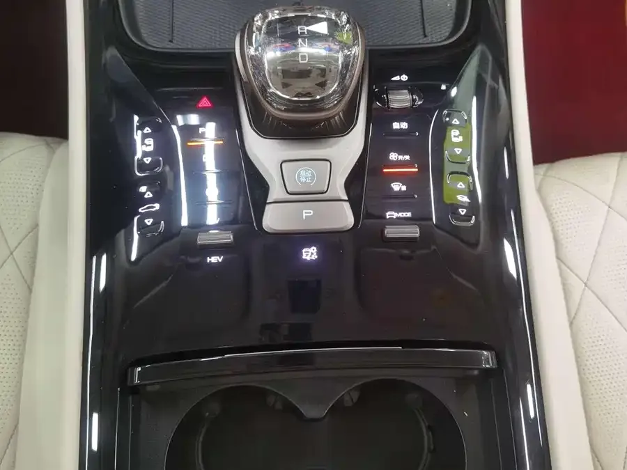 BYD D9 DENZA D9 2022 DM-i 1040 Premium Edition 2022 — миниатюра 4