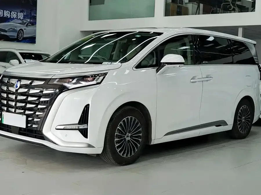 BYD D9 2022